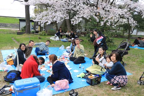  八幡宮では10組近い花見客が宴を繰り広げていました