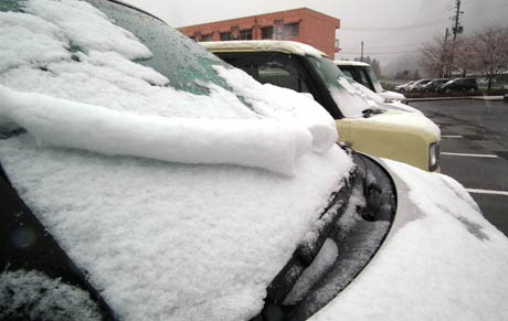 前日夕方から駐車場にとめてあった車に積もった雪