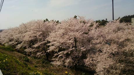 三条市月岡