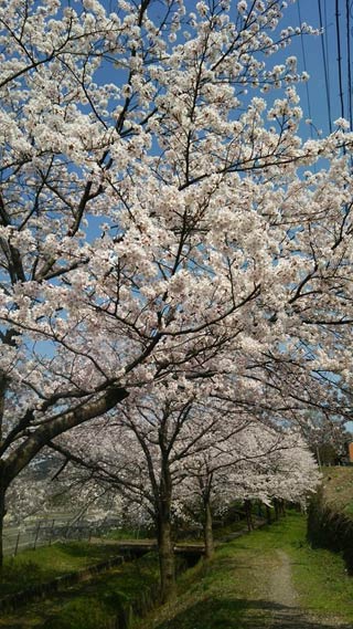 三条市月岡