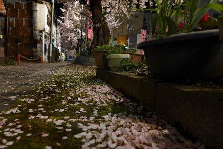 弥彦駅前通り。