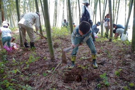 2年前のタケノコ掘り体験会のようす