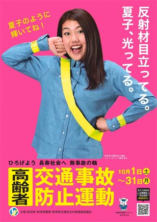  県の高齢者交通事故防止運動のポスター