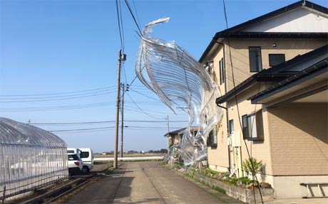  17日午後4時半ころ三条市北潟地内で風で飛んだビニールハウスの一部が電線にひっかかる（読者撮影写真）