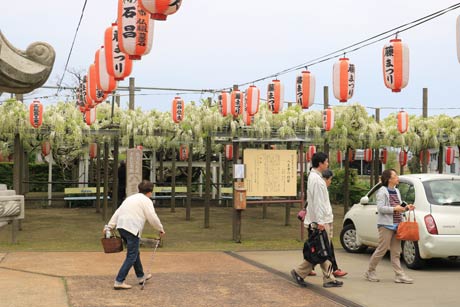 2日も花見客が切れ目ない