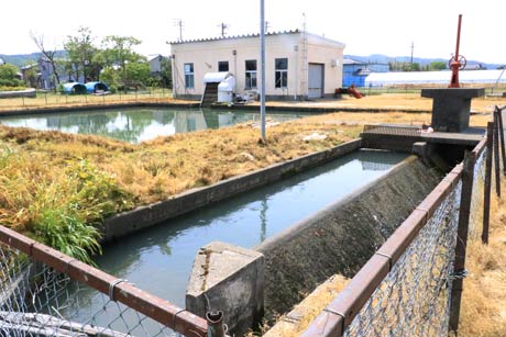 母親の遺体が見つかった第四揚水機場