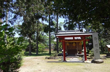 川を渡ったクマが向かった五十嵐川右岸土手下の神明宮