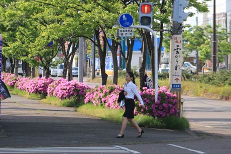  ツツジが咲く燕三条駅前の通りで上着を手に