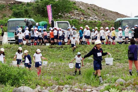 バケツでアユを五十嵐川へ運ぶ