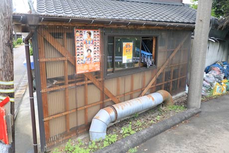 たくさんのアサガオが芽を出した工場わきのグリーンンカーテンを設置している場所