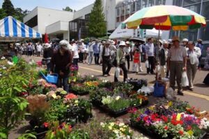 28、29日と三条市保内公園で開かれている春の保内公園まつりの花苗の販売