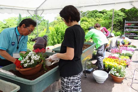 寄せ植え体験