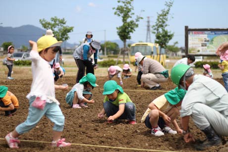  みんなでいっせいに種まきしてあっと言う間に作業を完了