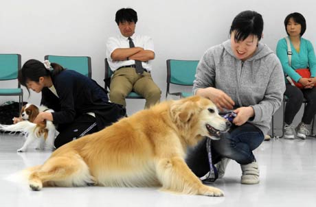  新潟県動物愛護協会県央支部による「家庭犬しつけ方教室」