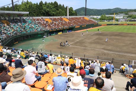 三条パール金属スタジアムで開かれている第9回三条野球まつり 