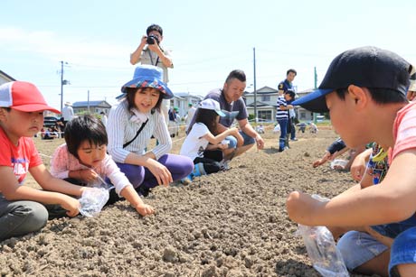 燕市農業委員会が「ひまわり作戦」で燕市下粟生津地区の休耕田で地元の人たちの協力を得てヒマワリの種まき