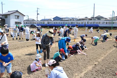 約300人も参加して人海戦術で一気に種まきが進む