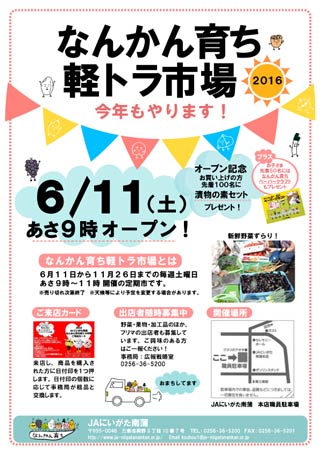 なんかん育ち軽トラ市場のちらし