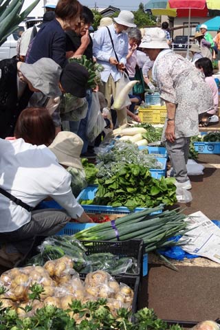 旬の野菜が並ぶ