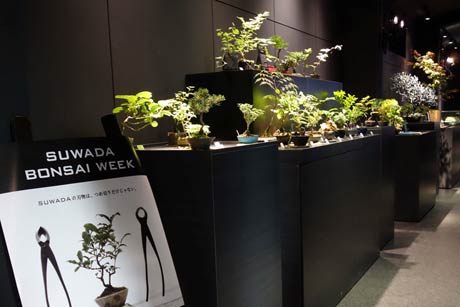  諏訪田製作所が開いている創業90周年特別展示企画「SUWADA BONSAI WEEK」を開催