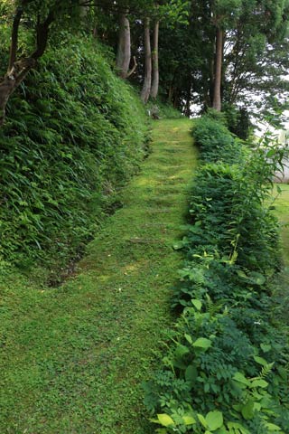 円福院に続くコケむした坂道