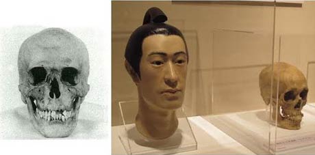 左は今回、戸坂さんが復顔する牧野家六代藩主、牧野忠敬の頭蓋骨、右は2013年に国立科学博物館で開かれた「江戸人展」に展示された戸坂さんが制作した五代藩主、牧野忠周の復顔像と頭蓋骨模型