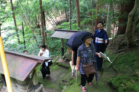 コケむす石段を上った先にある華蔵院のたたずまいにうっとり