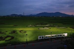 田んぼアート10周年を記念したライトアップ