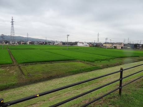 7.13水害で堤防を破って濁流が流れ込んだ嵐南地域に今は青々とした田んぼが広がり新築の家も増えた