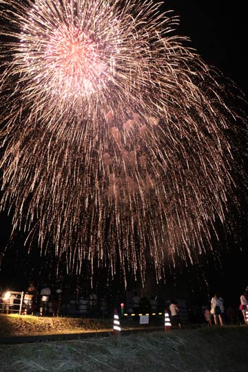 三条防災ステーション側から見る花火