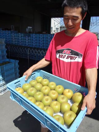  ケースにぎっしりのナシ