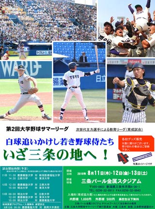 「第2回大学野球サマーリーグ」のポスター