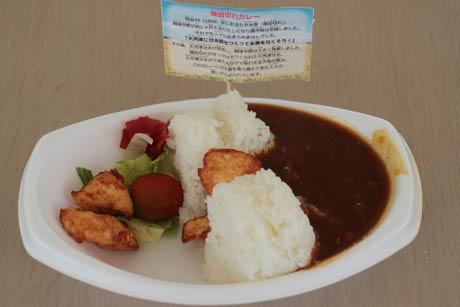 解説書も付いた横田切れカレー