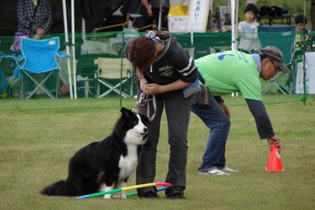 昨年の県央地区動物フェスティバルのようす