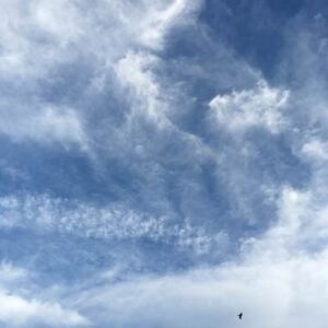 27日夕方の秋の空