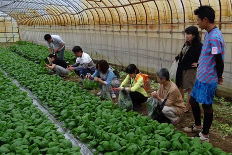 内山農園