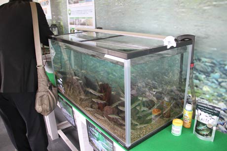やましん水槽館