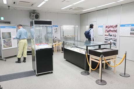 大河津資料館で開かれている五千石遺跡展