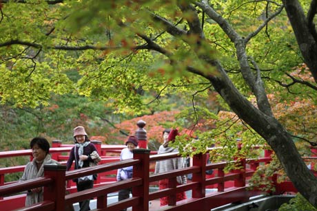 もみじ谷の観月橋