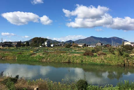  燕市吉田地区で白い雲が浮かぶ青空の下に西川、向こうに弥彦山や国上山
