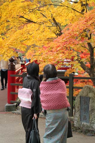 弥彦公園もみじ谷の紅葉
