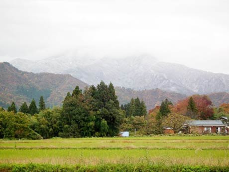 10日朝、冠雪の粟ヶ岳