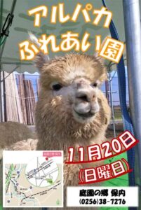 条市保内地区交流拠点施設「庭園の郷 保内」に20日、開設されるアルパカふれあい園