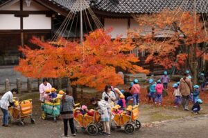 本成寺で紅葉狩りの園児