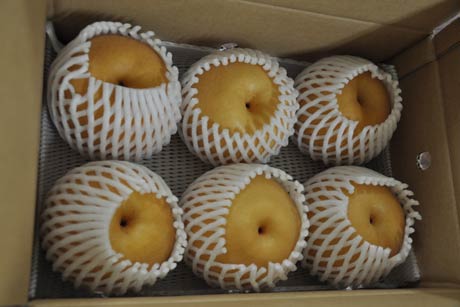 日本郵便の会員制カタログギフトの商品として初めて採用された加茂産のナシ「新興」