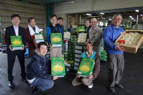 三条市・大島選果場で初出荷の「ル レクチエ」