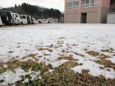 かもしか病院に積もった雪