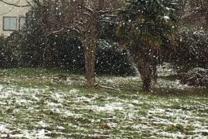 11日昼に燕市で降り続く雪