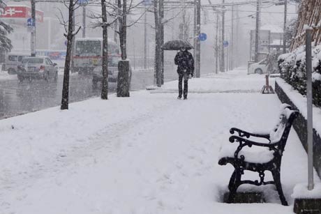 歩道がすっかり雪に覆われた市役所三条庁舎前