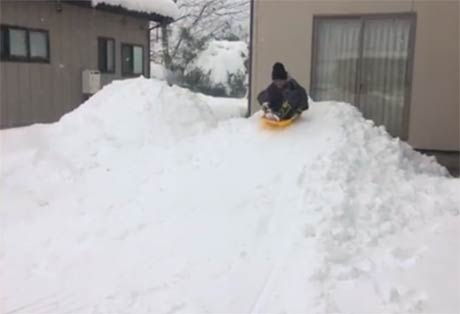 14日11:00ころ、燕市吉田水道町で撮影